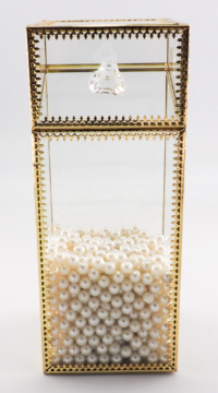 Golden Glow Brush Organiser